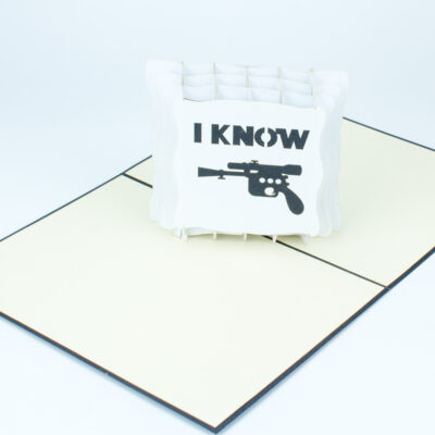 i-know-pillow-pop-up-card-04