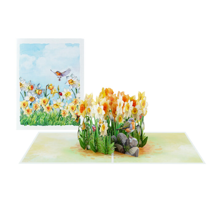 Daffodils with Robin Pop-up Card - Image 2