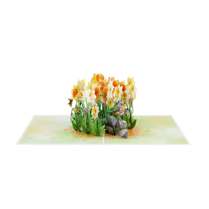 Daffodils with Robin Pop-up Card - Image 3