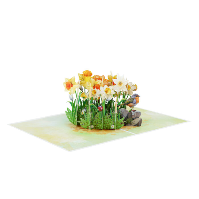 Daffodils with Robin Pop-up Card - Image 4