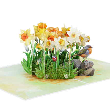 Daffodils with Robin Pop-up Card