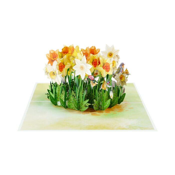 Daffodils with Robin Pop-up Card - Image 6