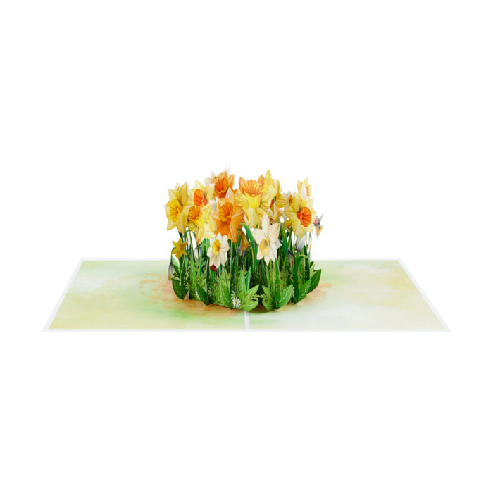 Daffodils with Robin Pop-up Card - Image 8
