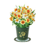 Small daffodil bouquet pop-up card with yellow and white flowers in green vase