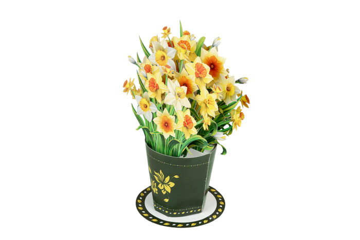 Small Daffodil Bouquet Pop-up Card - Image 6