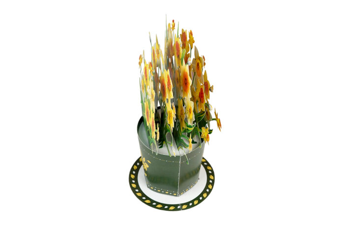 Small Daffodil Bouquet Pop-up Card - Image 7