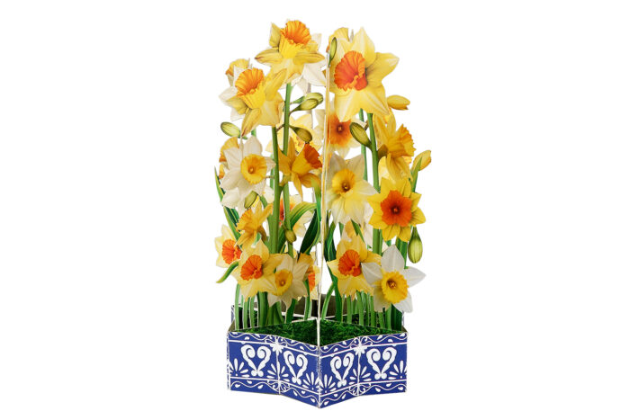 Daffodil Flower Basket Pop-up Card - Image 3