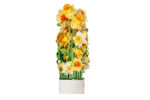 Daffodil Flower Basket Pop-up Card - Image 5