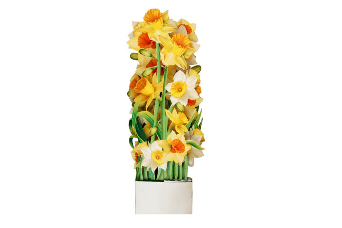 Daffodil Flower Basket Pop-up Card - Image 5
