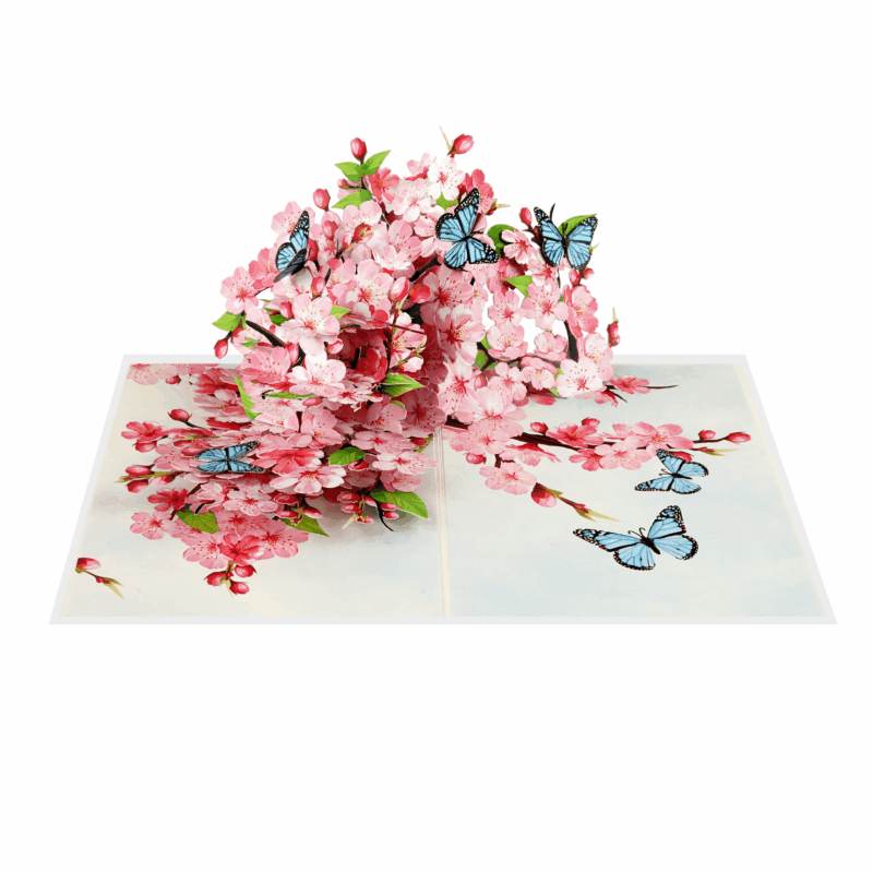 ピッピ様ジャンクジャーナル Cerry Blossom 3 Cherry Blossom Pop Up Card – 3D Flower Card with Butterflies