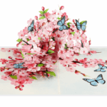 Spring pop up card with cherry blossoms and butterflies – Kiricard