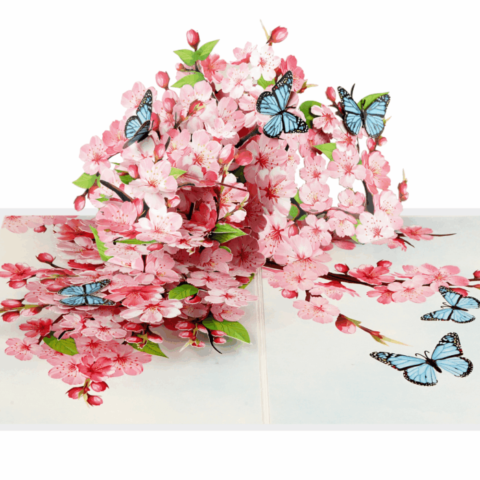 Spring pop up card with cherry blossoms and butterflies – Kiricard