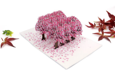 Cherry blossom street pop up card for all occasion