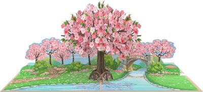 Customize popup card