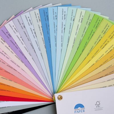 Japanese premium uncoated paper (Kishu)