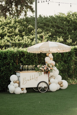 Wedding drink cart concept