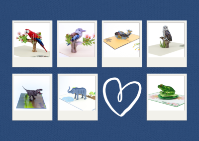 animal greeting cards for gift shops