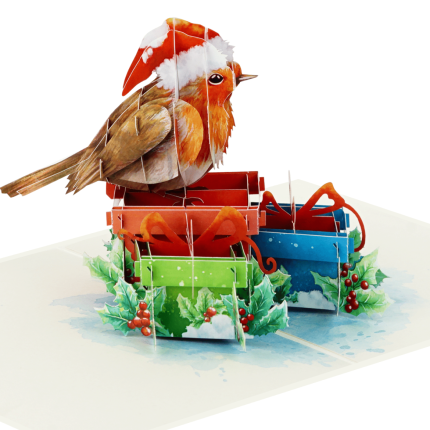 Christmas Robin and Giftbox Pop Up Card
